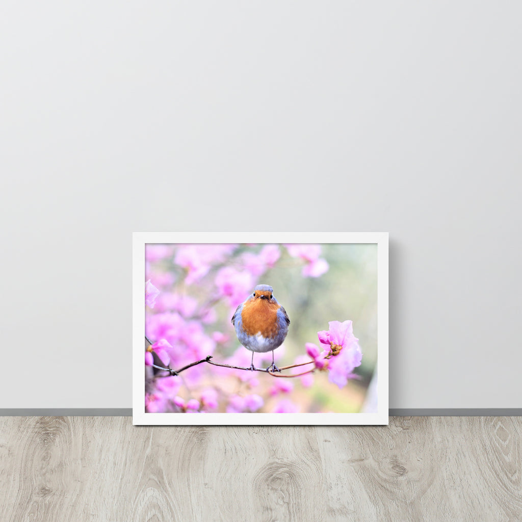Birdie -- High Quality -- Framed on photo paper