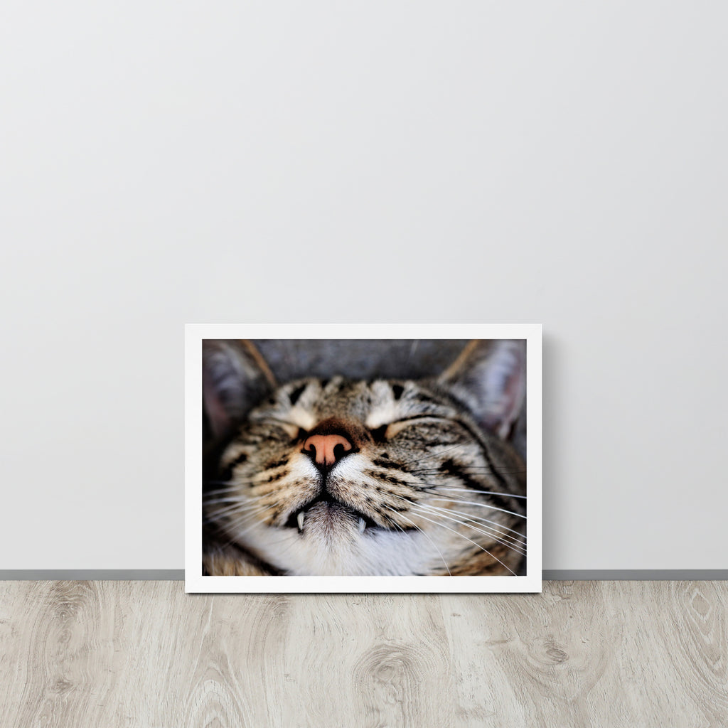 Sleeping Cat -- High Quality -- Framed on photo paper