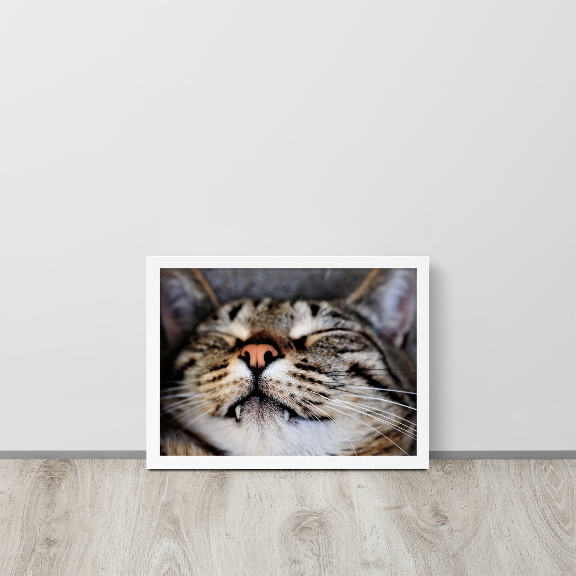 Sleeping Cat -- High Quality -- Framed on photo paper