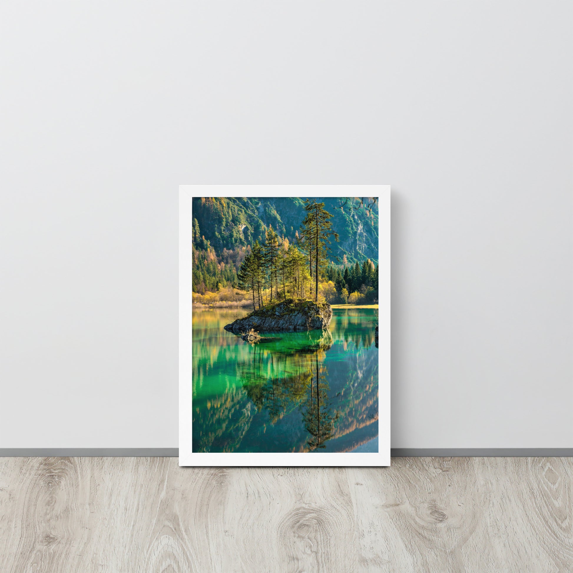 Nature -- High Quality -- Framed on photo paper