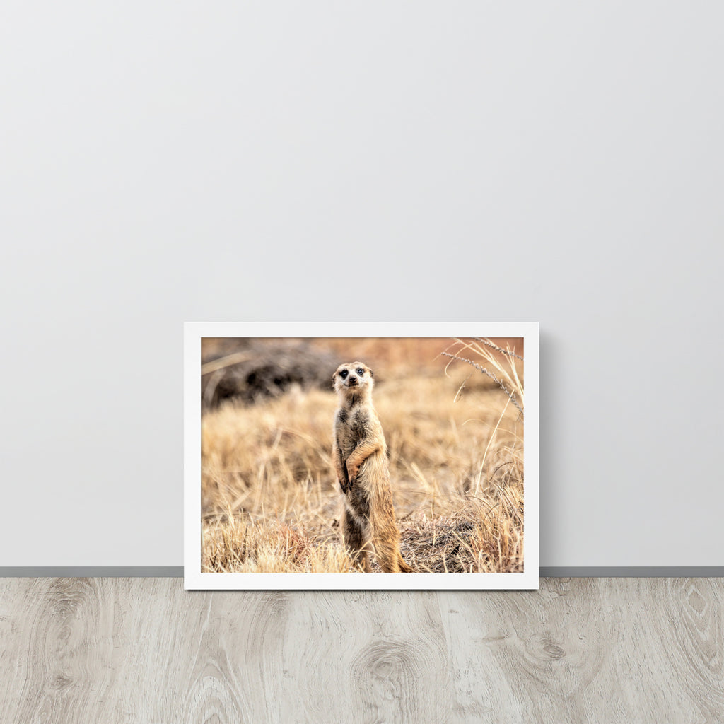 -- High Quality -- Framed on photo paper
