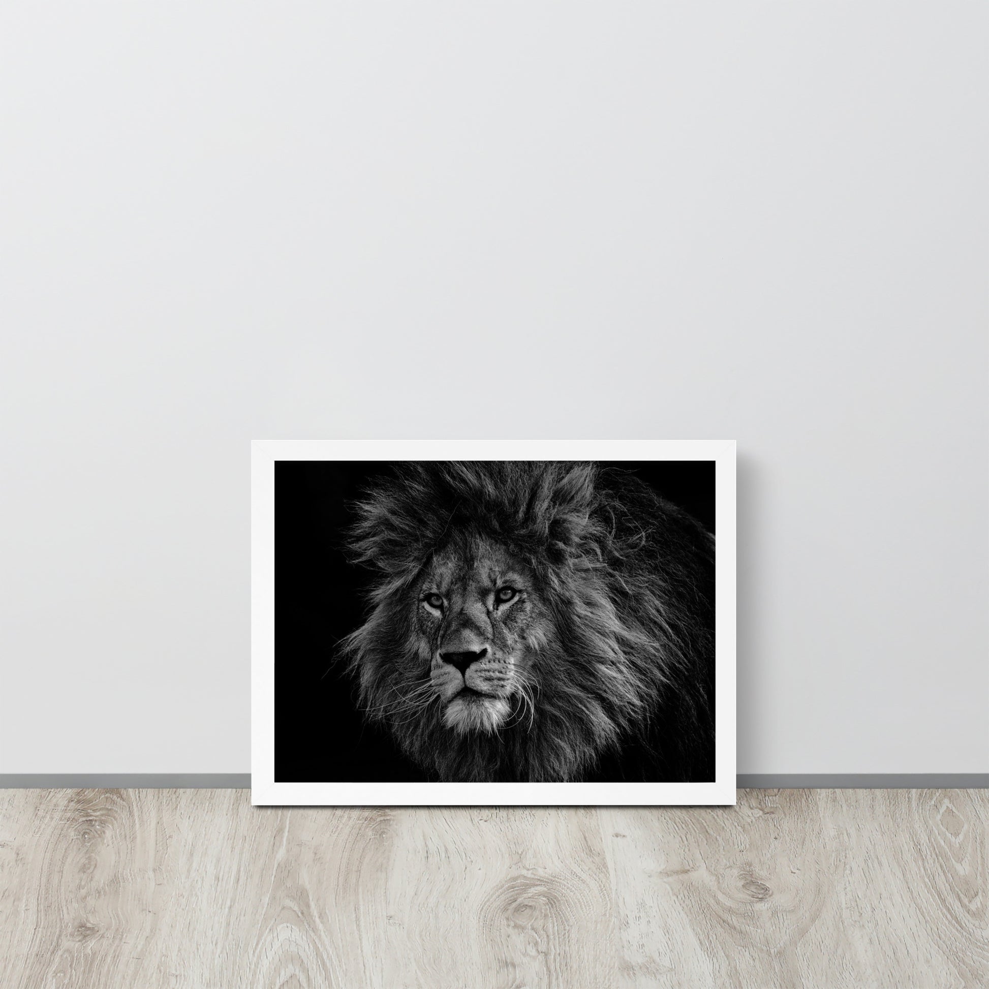 Lion -- High Quality -- Framed on photo paper