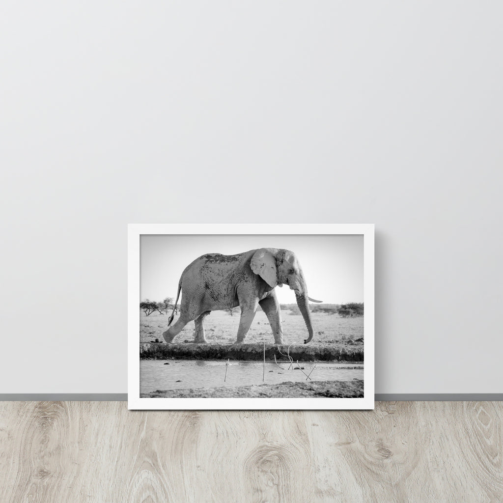 Elephant -- High Quality -- Framed photo paper