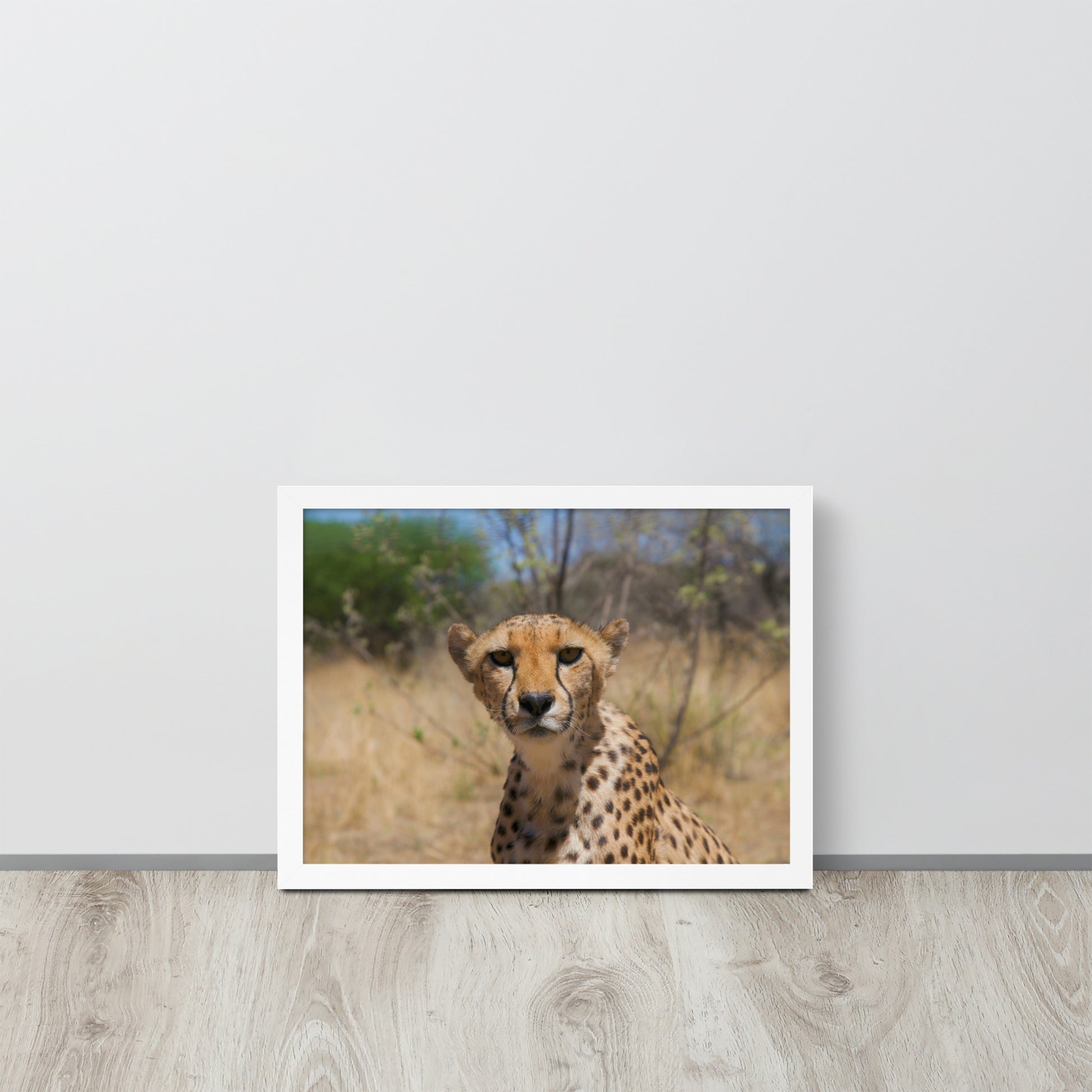 Leopard -- High Quality -- Framed on photo paper