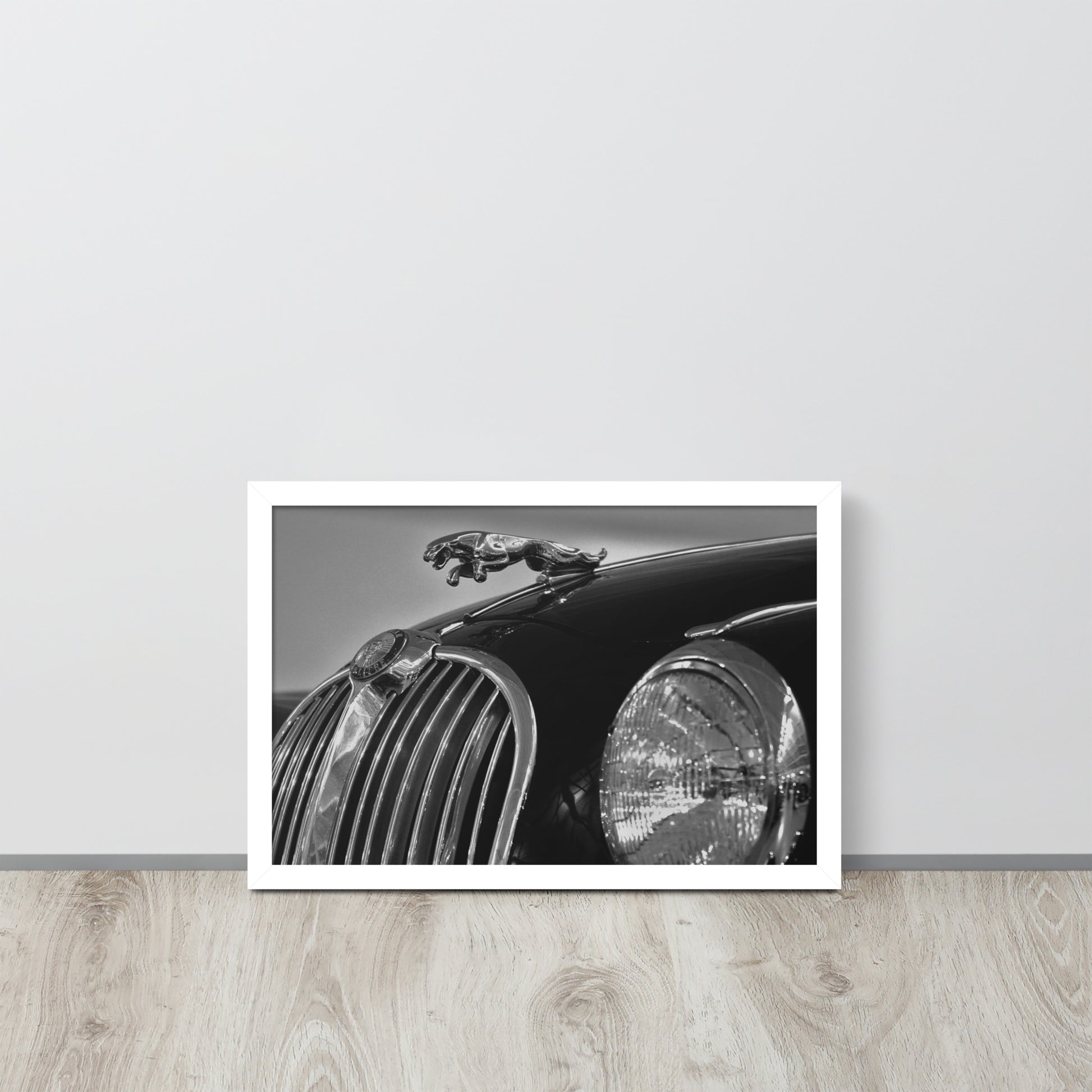 Car Collection Jaguar -- High Quality-- Framed on photo paper
