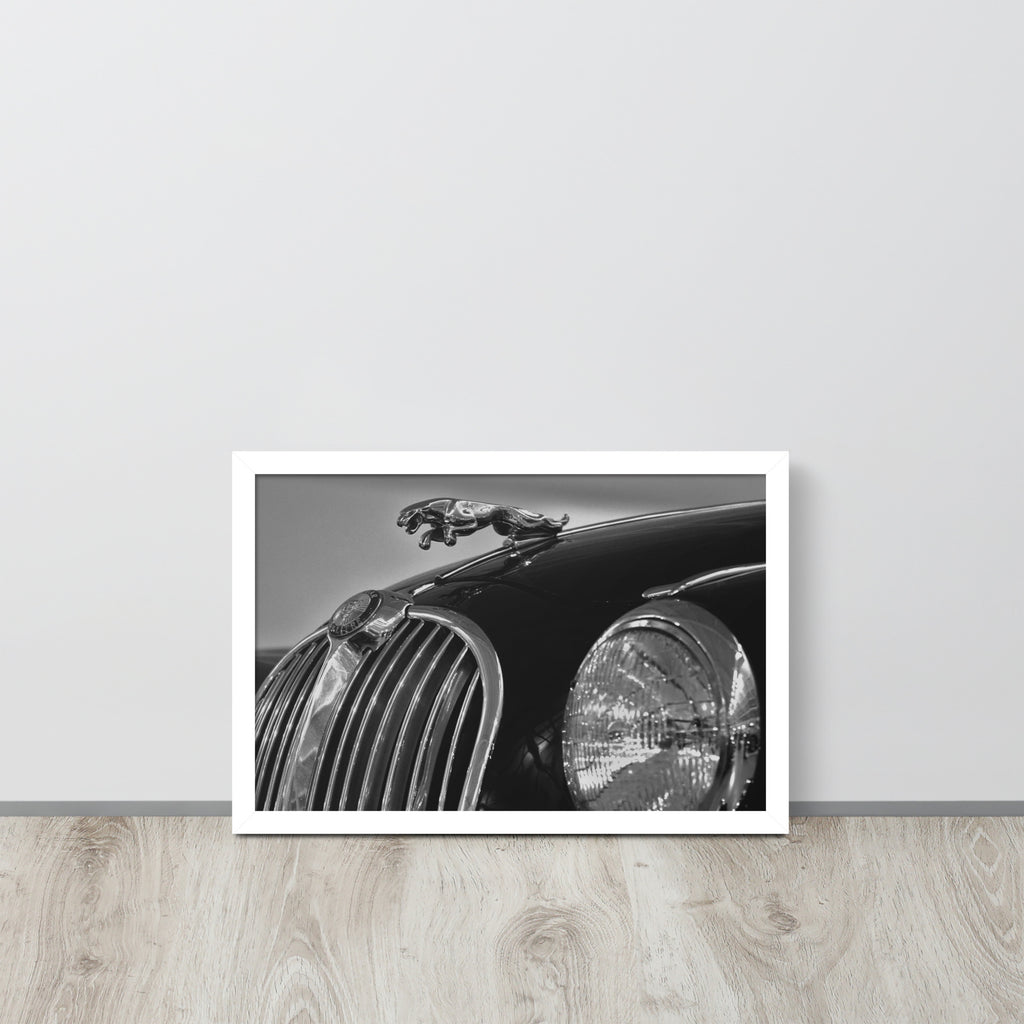 Car Collection Jaguar -- High Quality-- Framed on photo paper