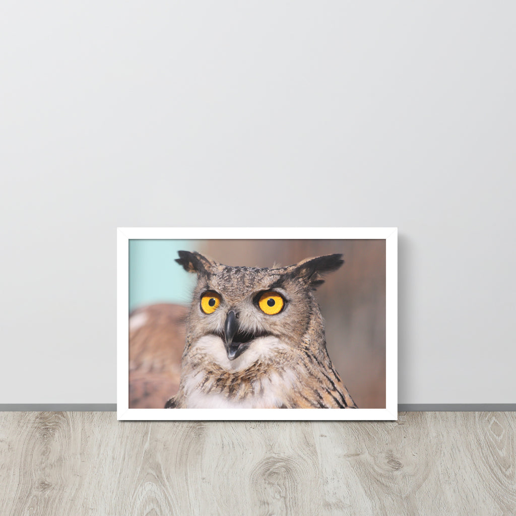 Owl -- High Quallity -- Framed on photo paper