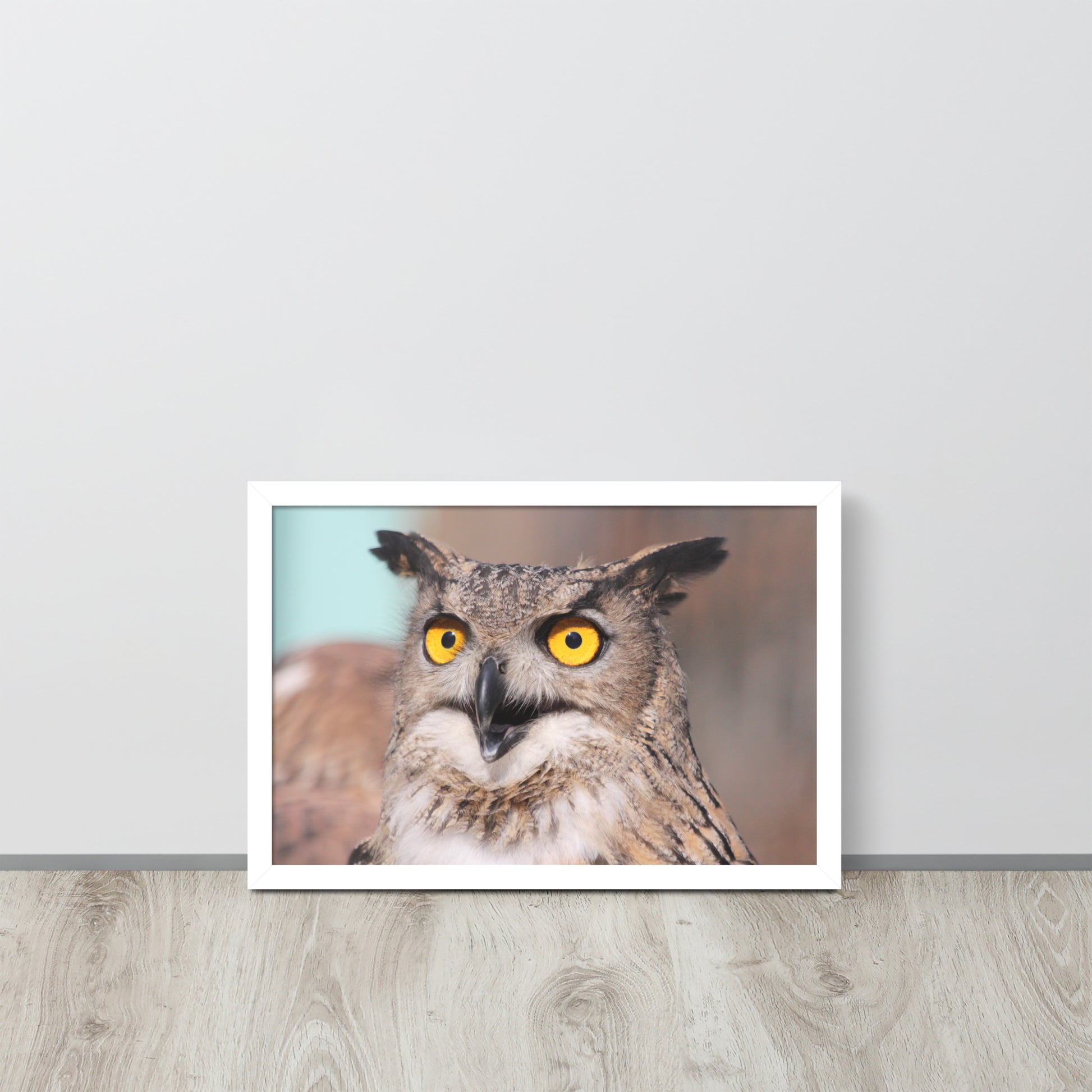 Owl -- High Quallity -- Framed on photo paper