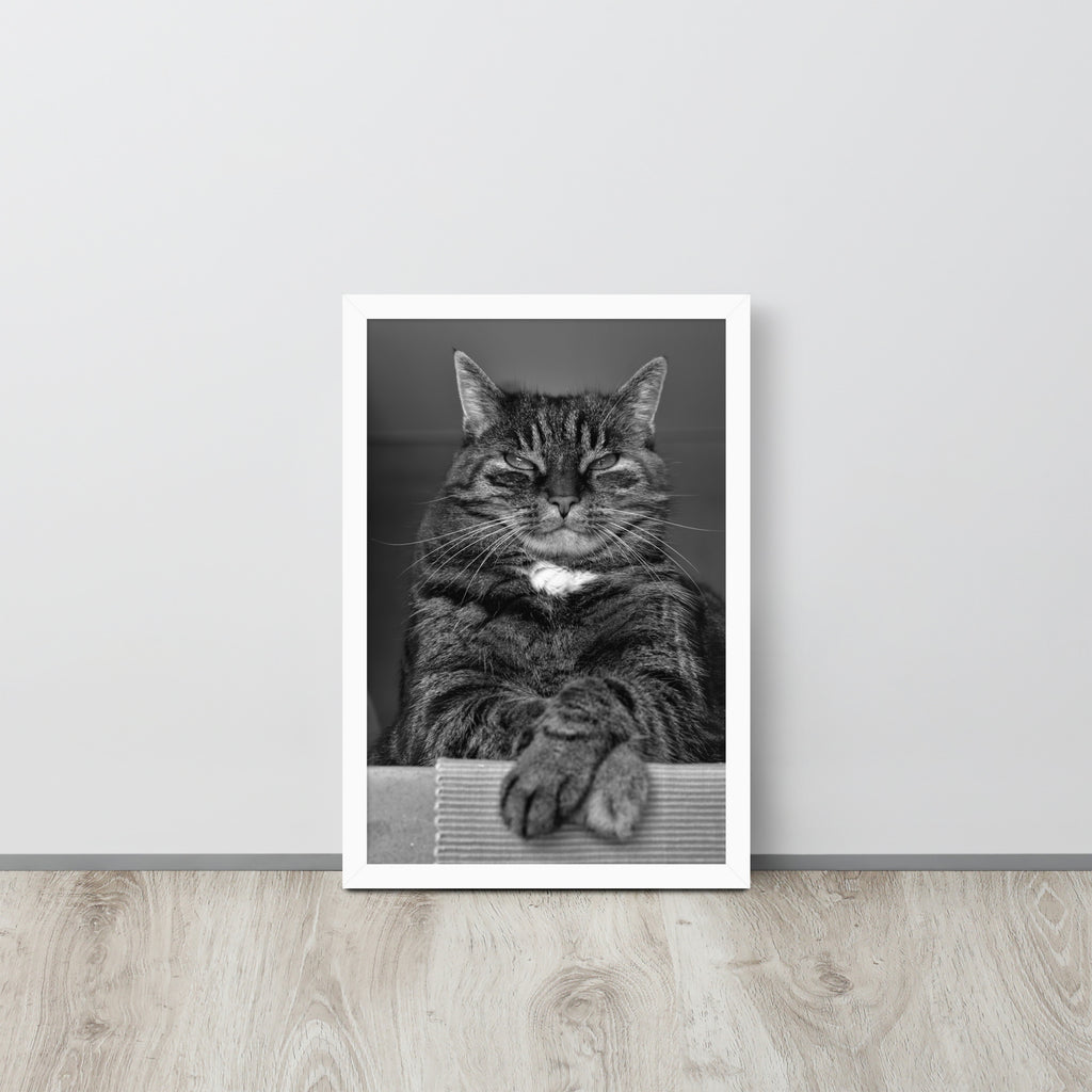 The Cat -- High Quality -- Framed on photo paper