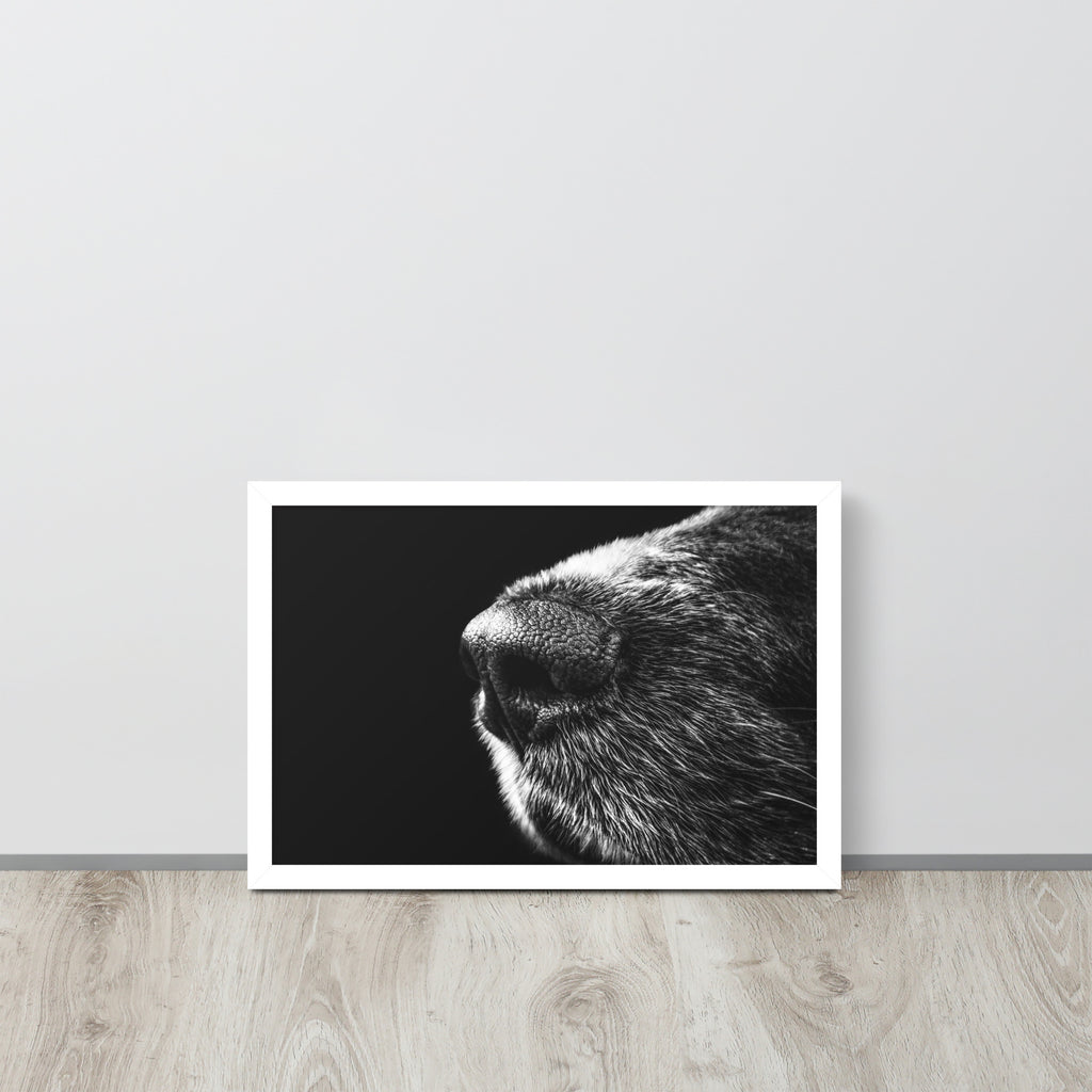 The Nose -- High Quality -- Framed on photo paper