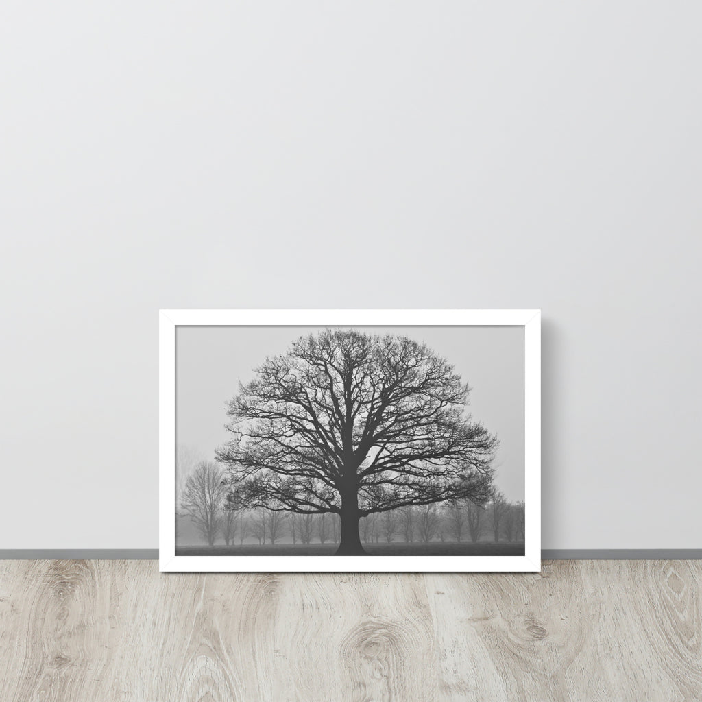 The Tree -- High Quality -- Framed on photo paper