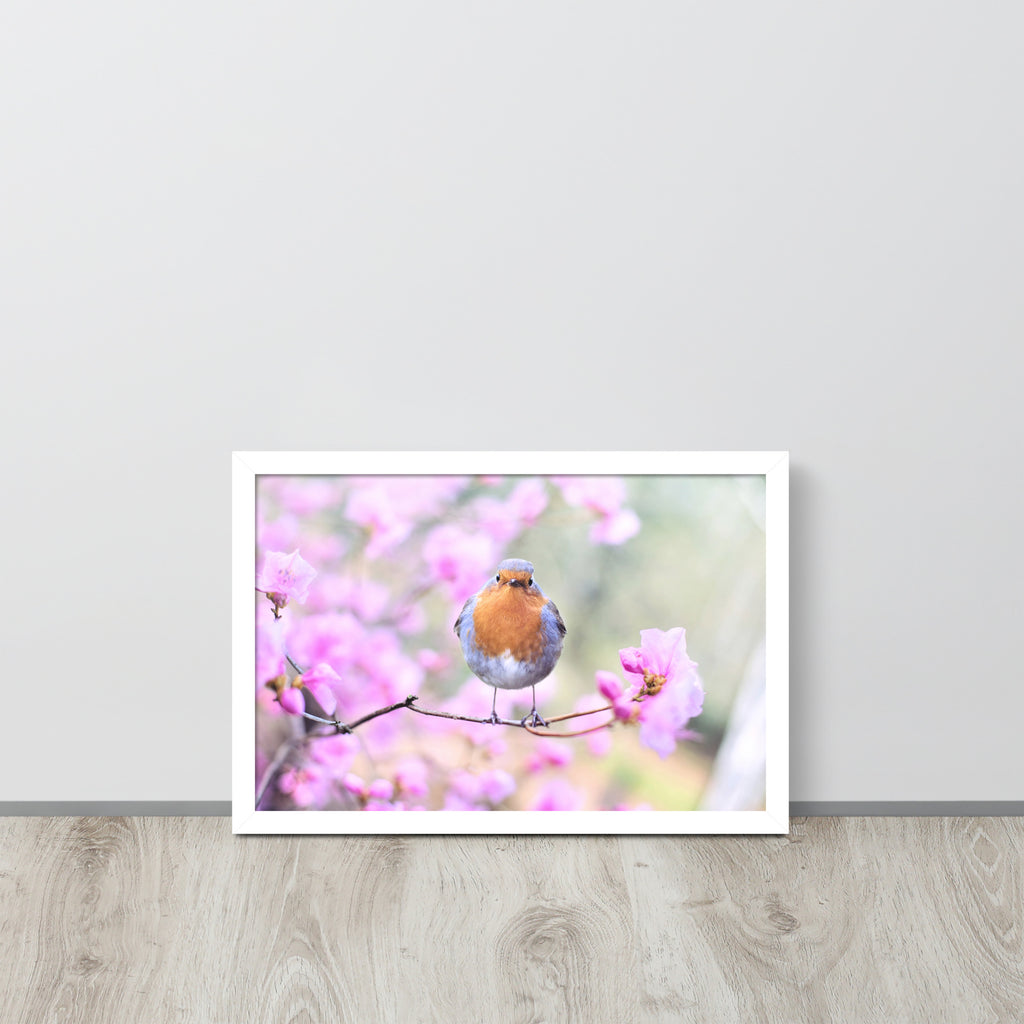 Birdie -- High Quality -- Framed on photo paper