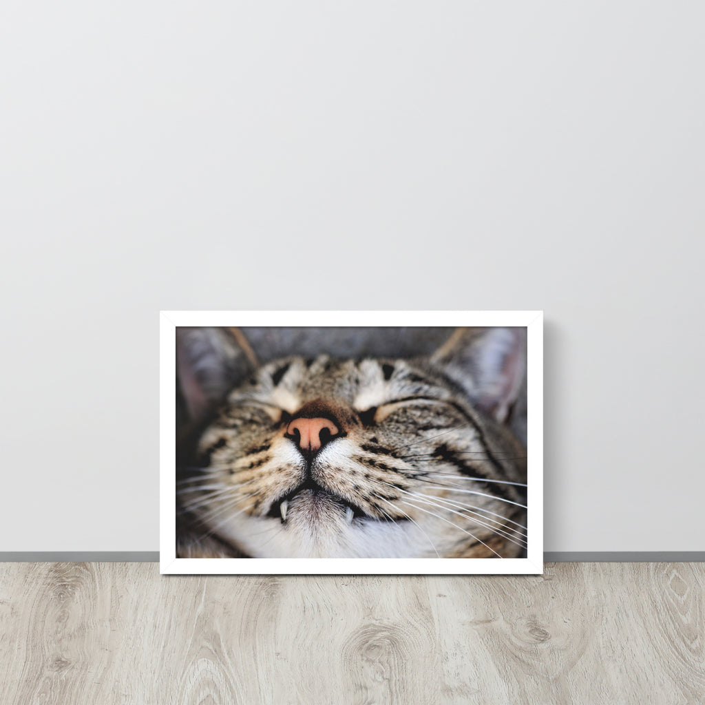 Sleeping Cat -- High Quality -- Framed on photo paper