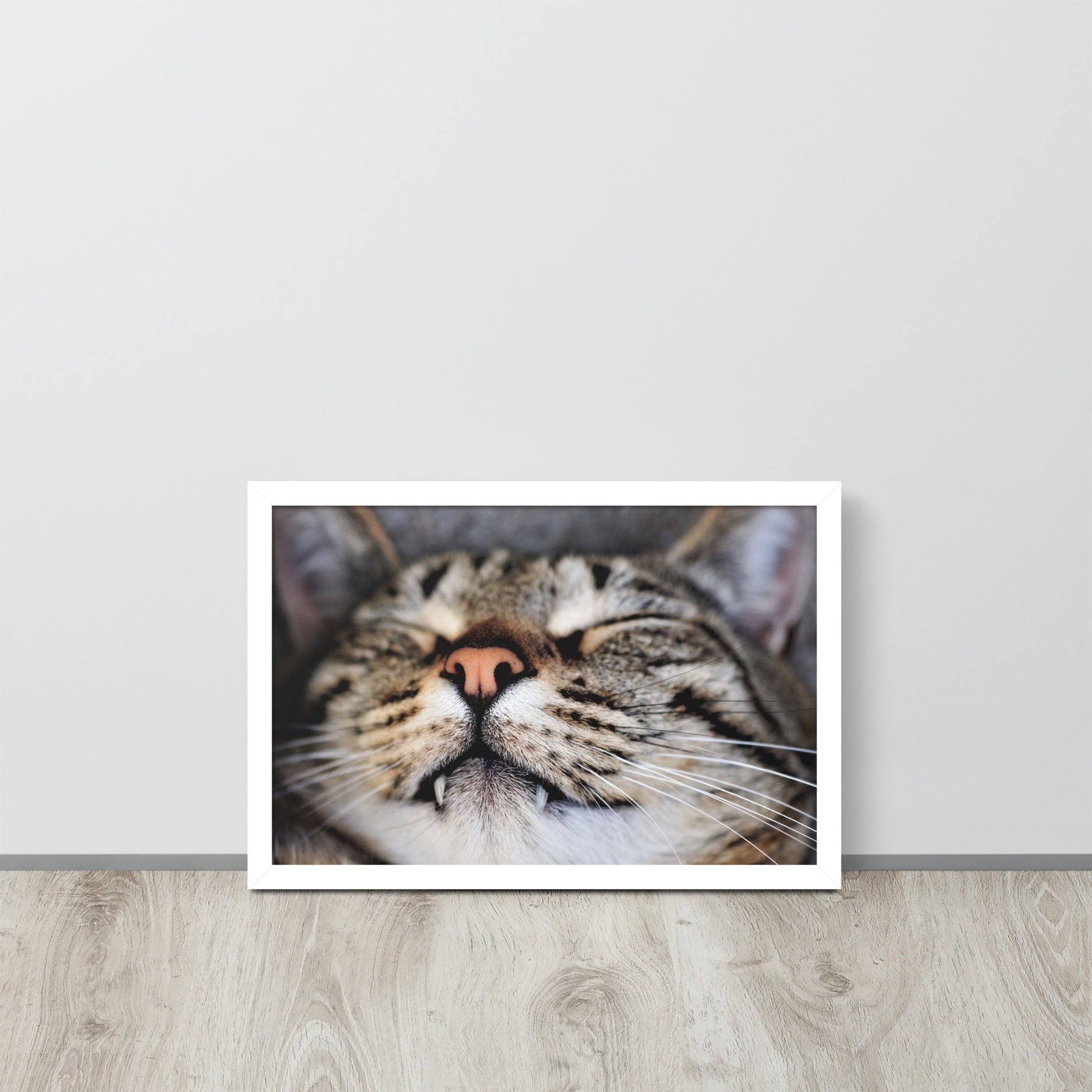 Sleeping Cat -- High Quality -- Framed on photo paper
