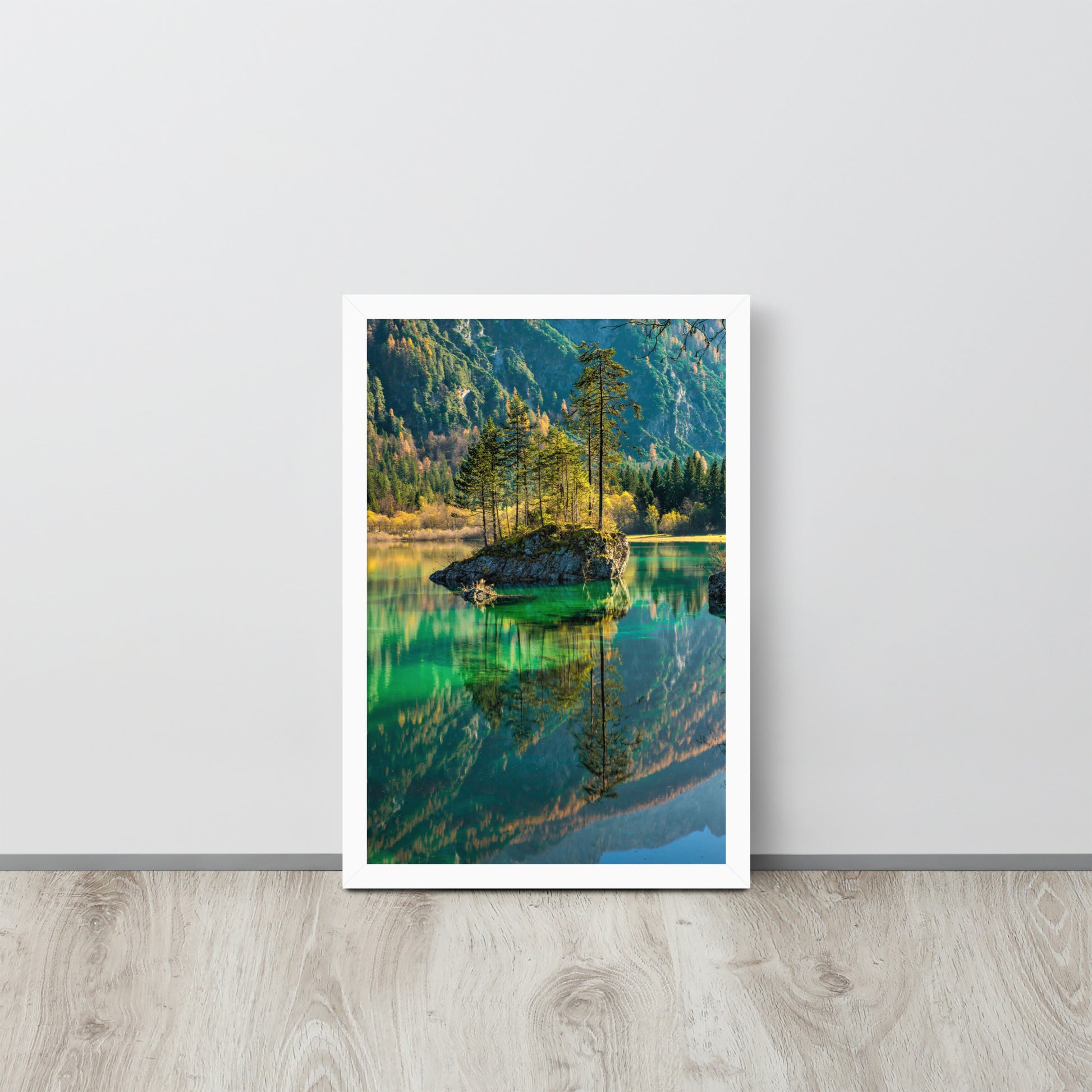 Nature -- High Quality -- Framed on photo paper