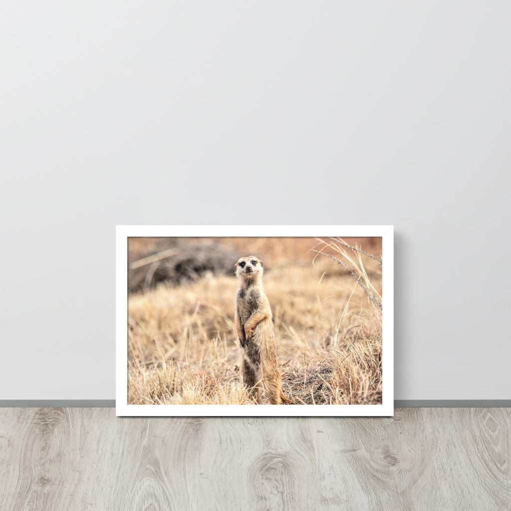 -- High Quality -- Framed on photo paper