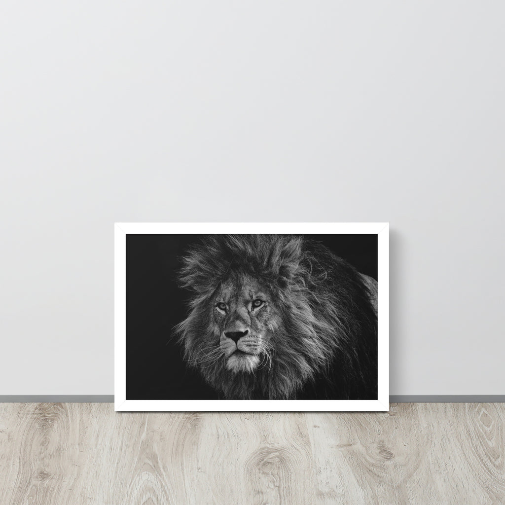 Lion -- High Quality -- Framed on photo paper