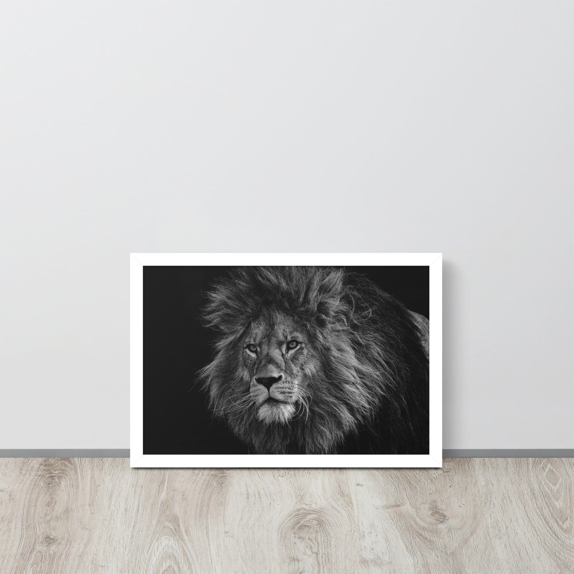 Lion -- High Quality -- Framed on photo paper
