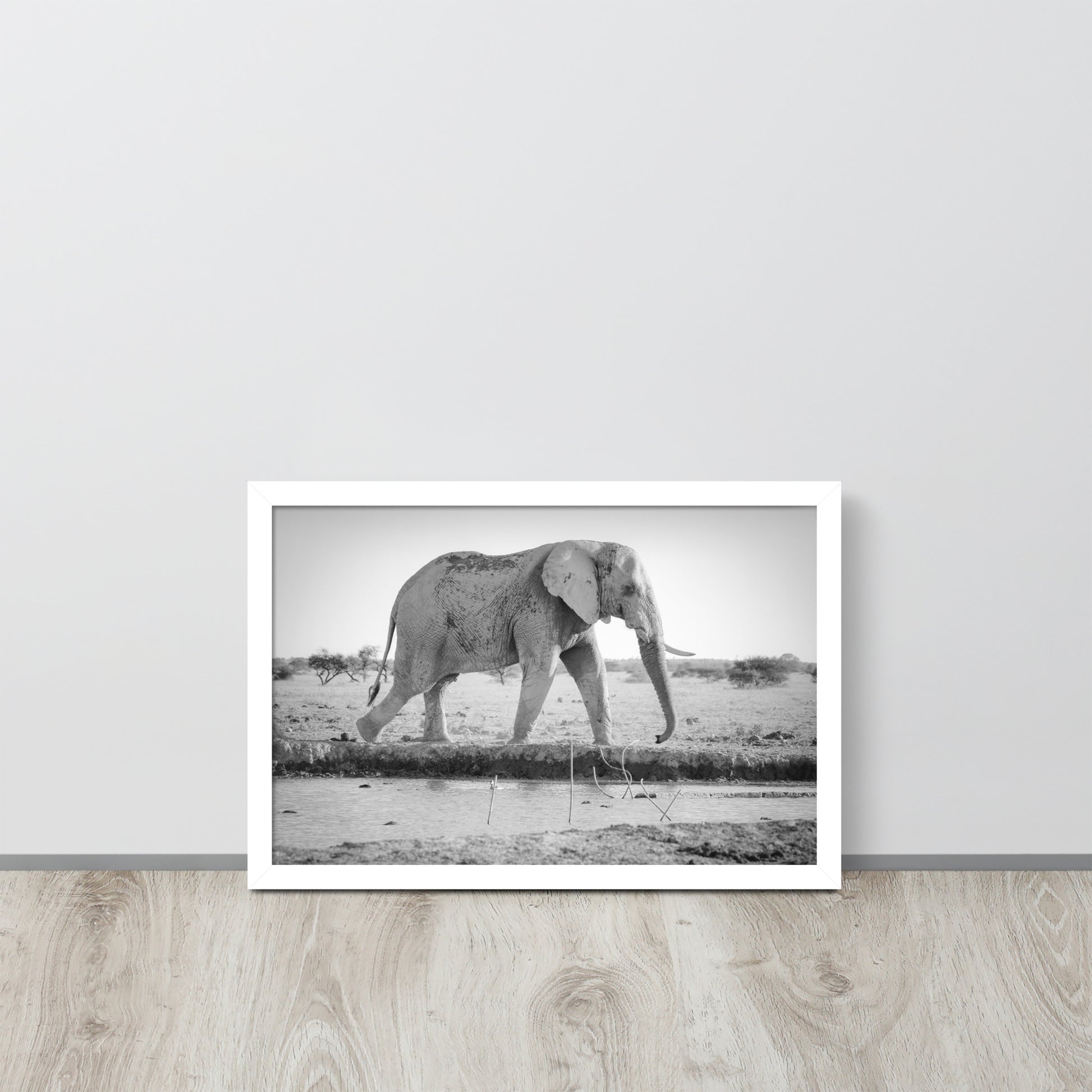 Elephant -- High Quality -- Framed photo paper