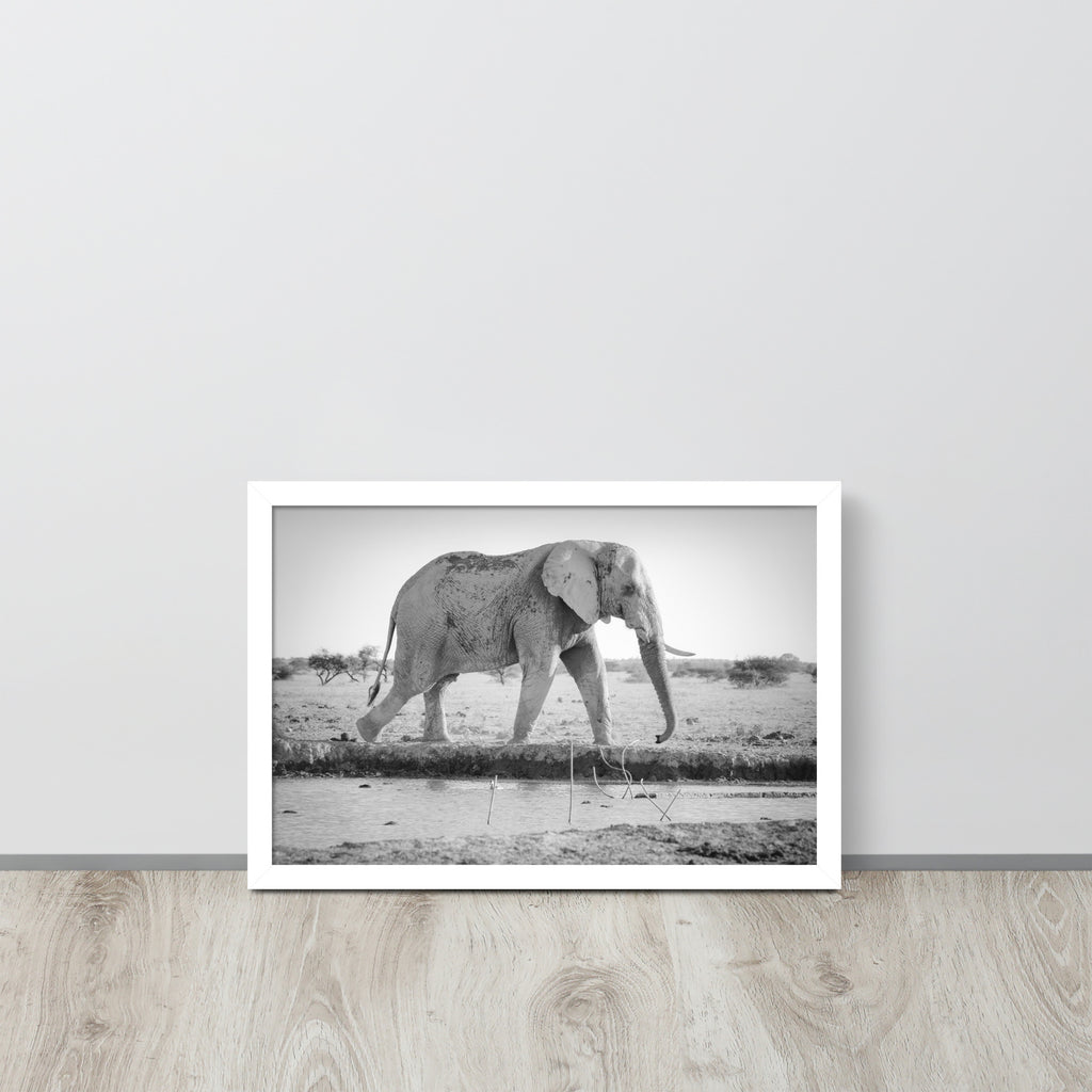 Elephant -- High Quality -- Framed photo paper