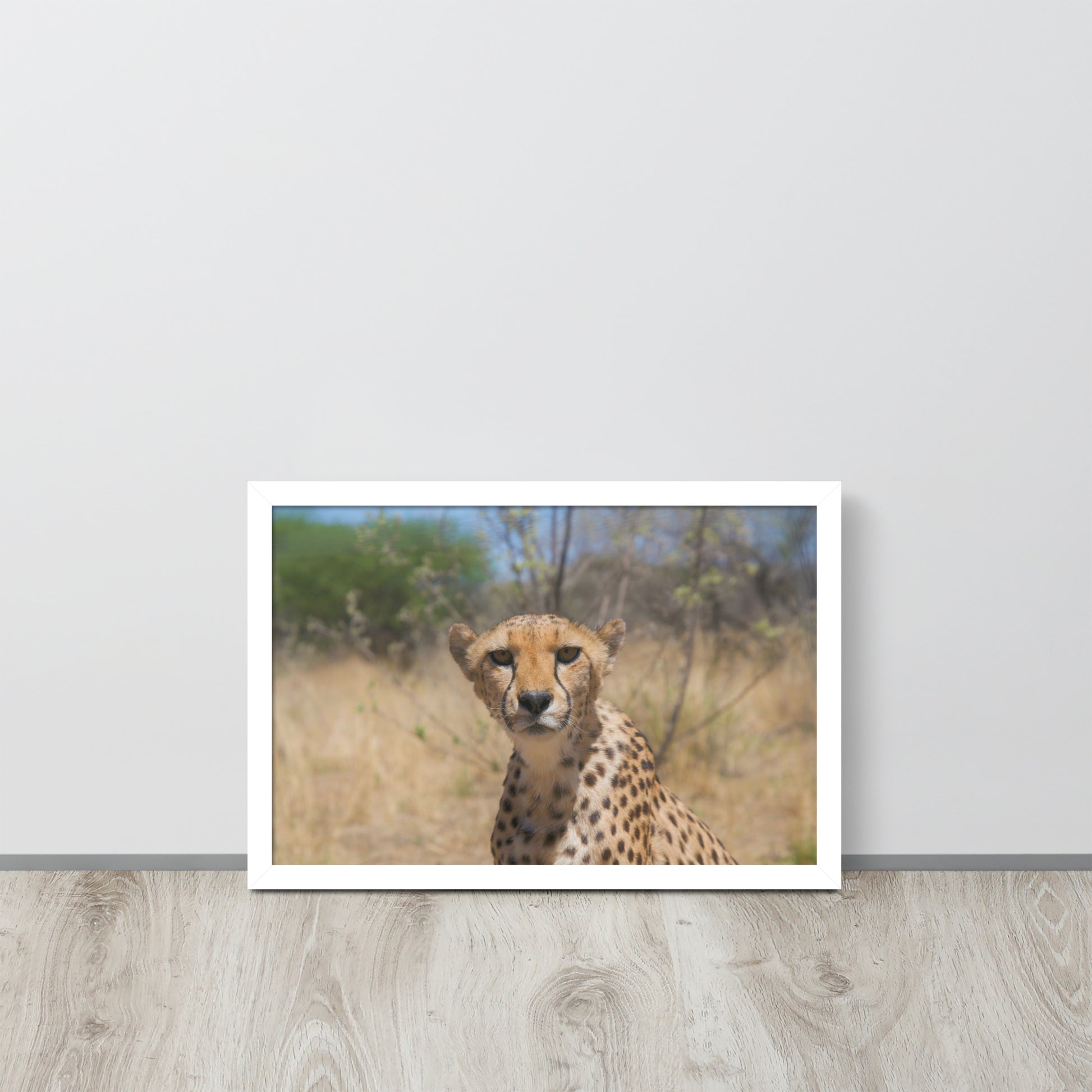 Leopard -- High Quality -- Framed on photo paper