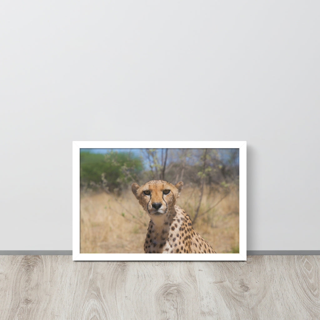 Leopard -- High Quality -- Framed on photo paper