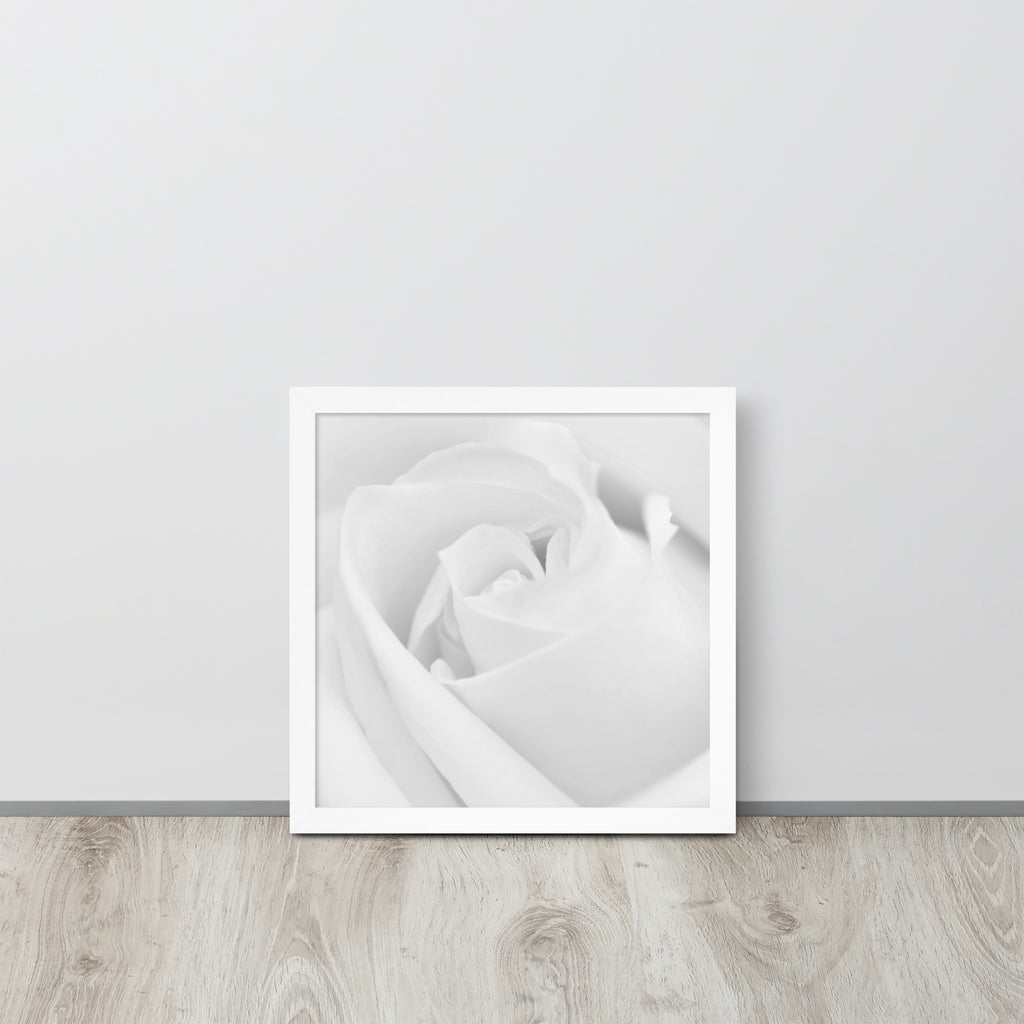 The Rose -- High Quality -- Framed on photo paper
