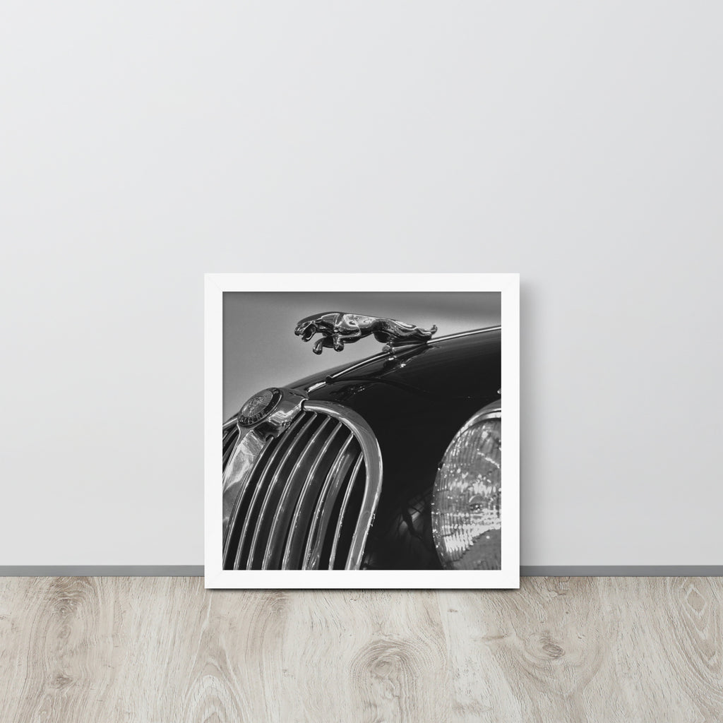 Car Collection Jaguar -- High Quality-- Framed on photo paper