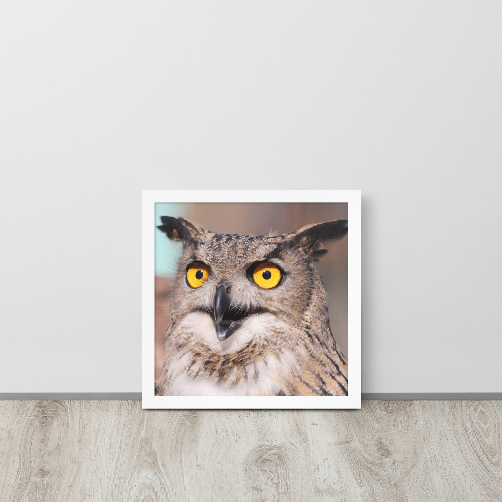 Owl -- High Quallity -- Framed on photo paper