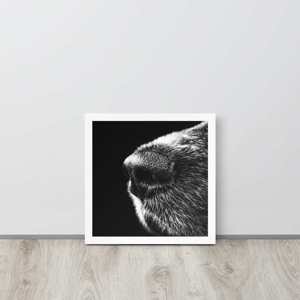 The Nose -- High Quality -- Framed on photo paper