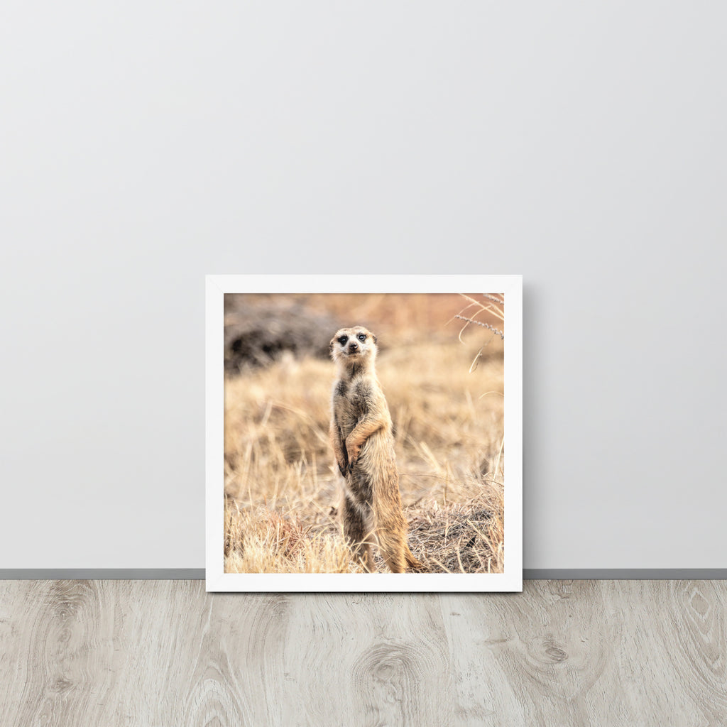 -- High Quality -- Framed on photo paper