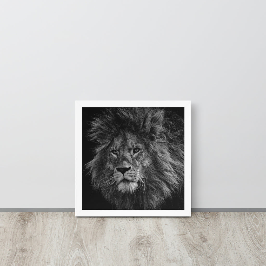 Lion -- High Quality -- Framed on photo paper