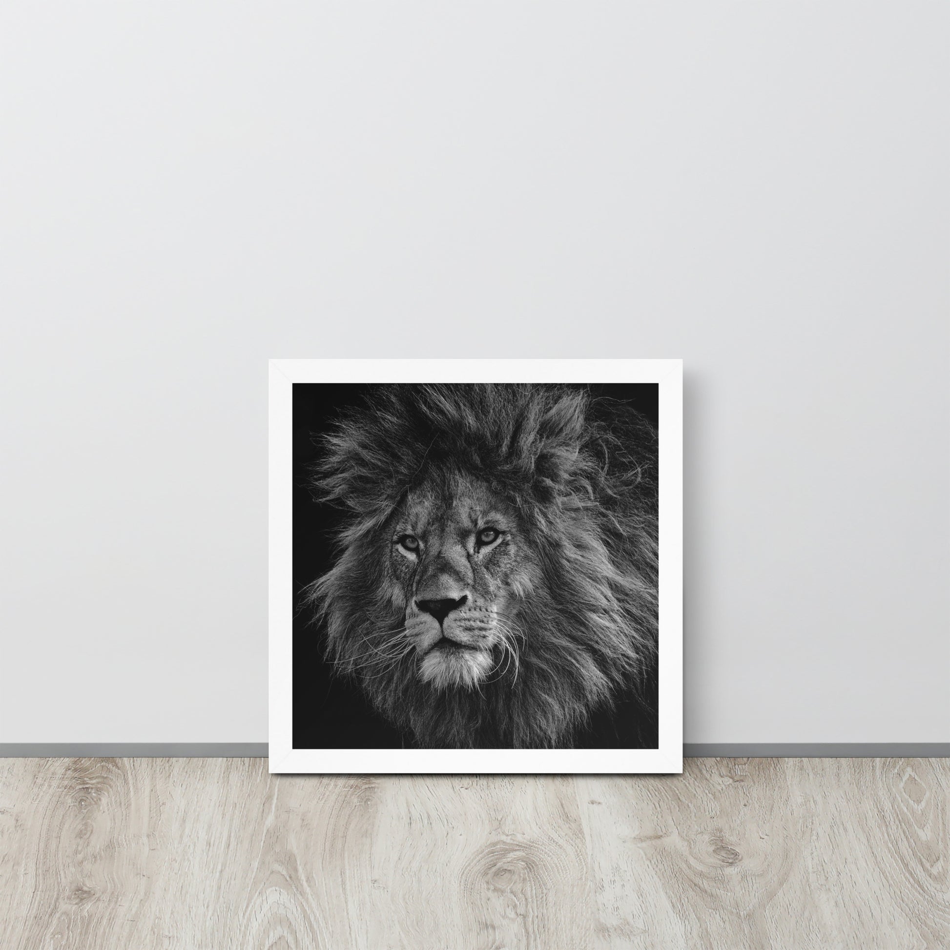 Lion -- High Quality -- Framed on photo paper
