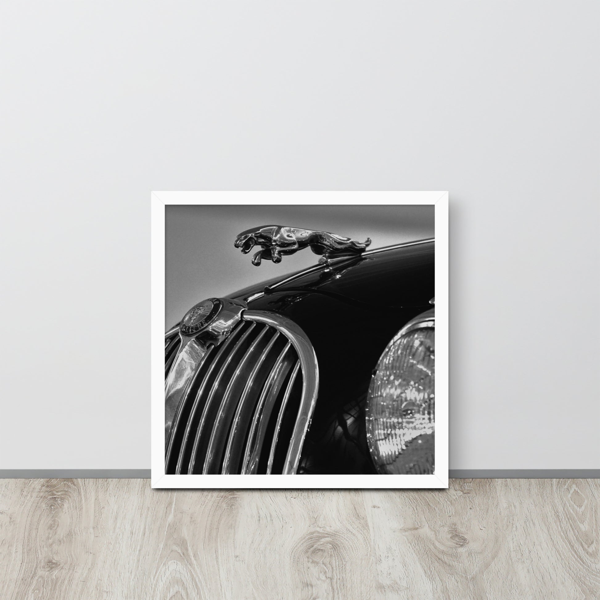 Car Collection Jaguar -- High Quality-- Framed on photo paper