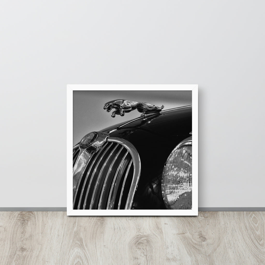 Car Collection Jaguar -- High Quality-- Framed on photo paper