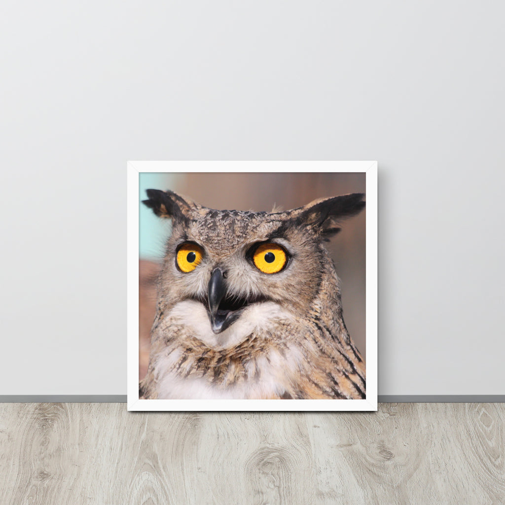 Owl -- High Quallity -- Framed on photo paper