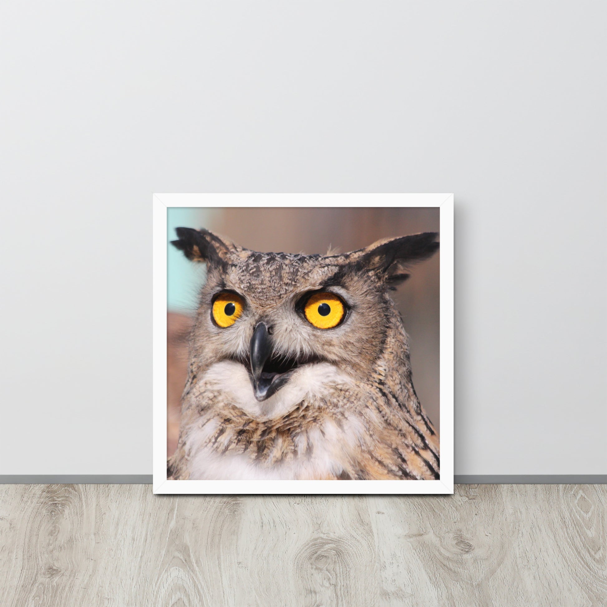 Owl -- High Quallity -- Framed on photo paper