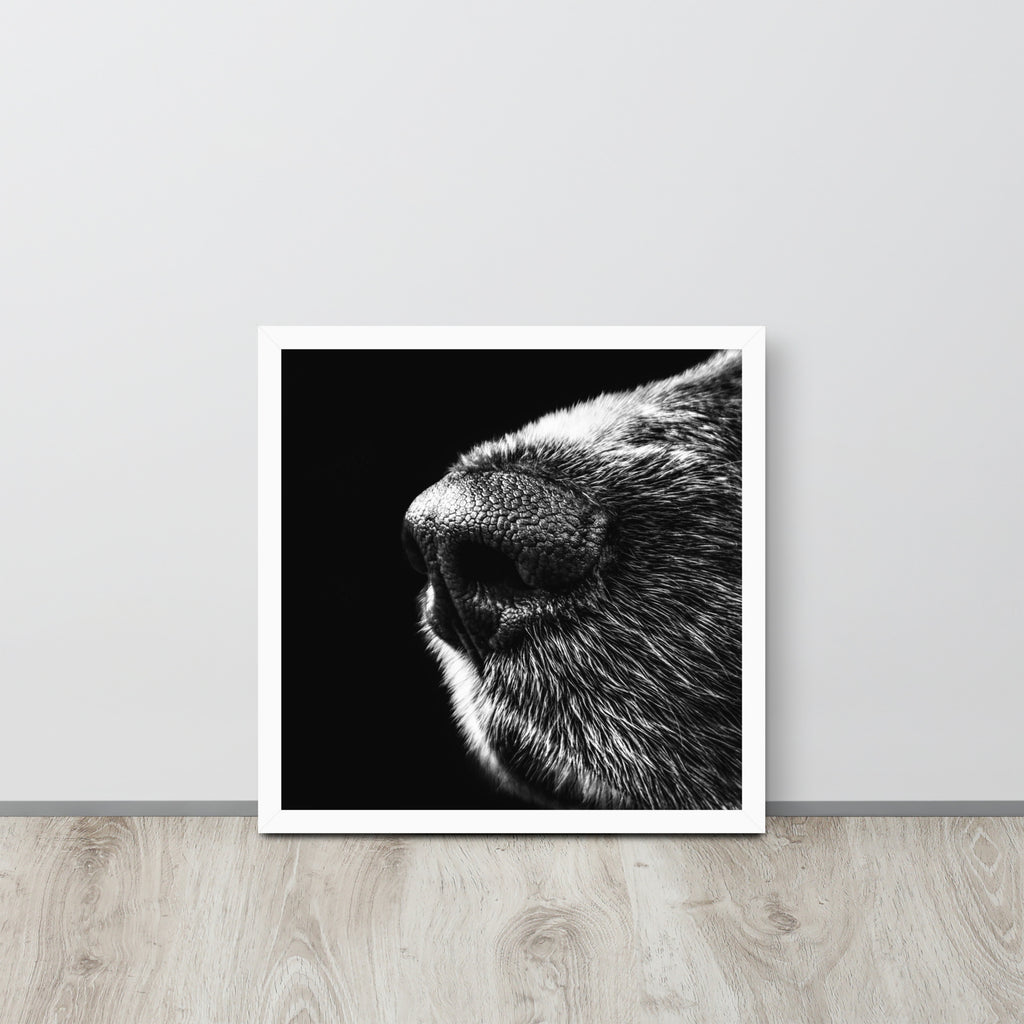 The Nose -- High Quality -- Framed on photo paper