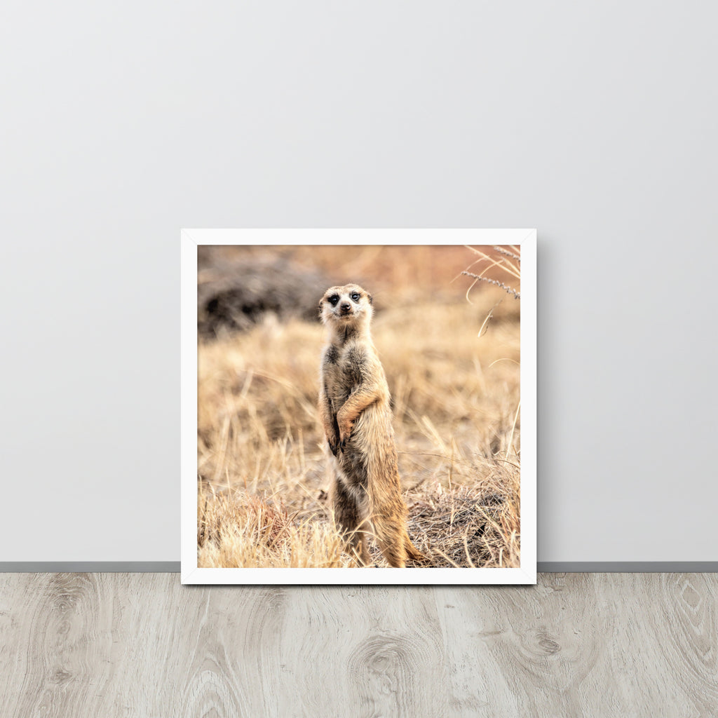 -- High Quality -- Framed on photo paper