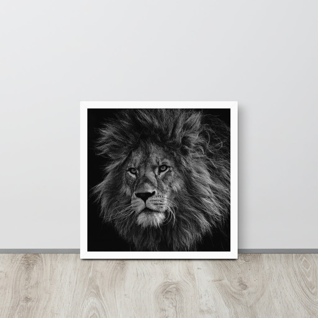 Lion -- High Quality -- Framed on photo paper