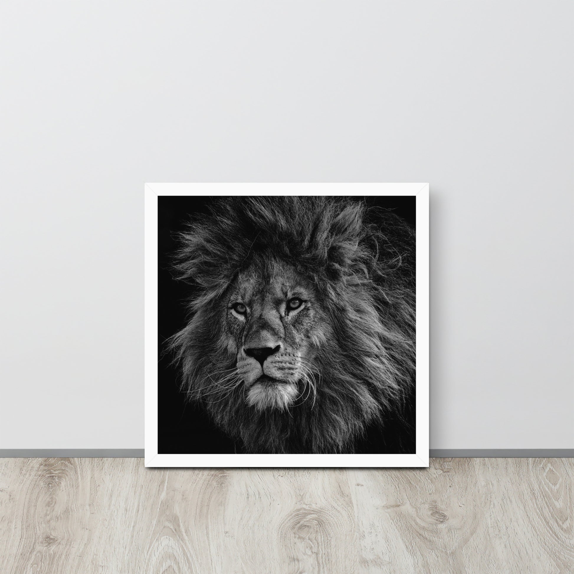 Lion -- High Quality -- Framed on photo paper