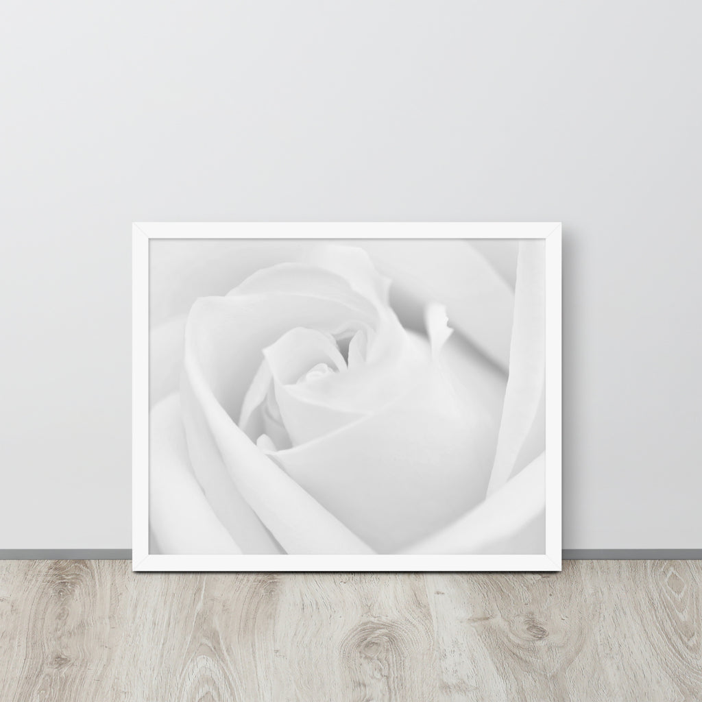 The Rose -- High Quality -- Framed on photo paper