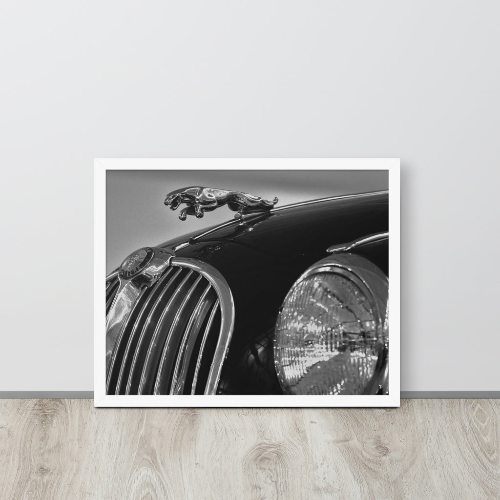 Car Collection Jaguar -- High Quality-- Framed on photo paper