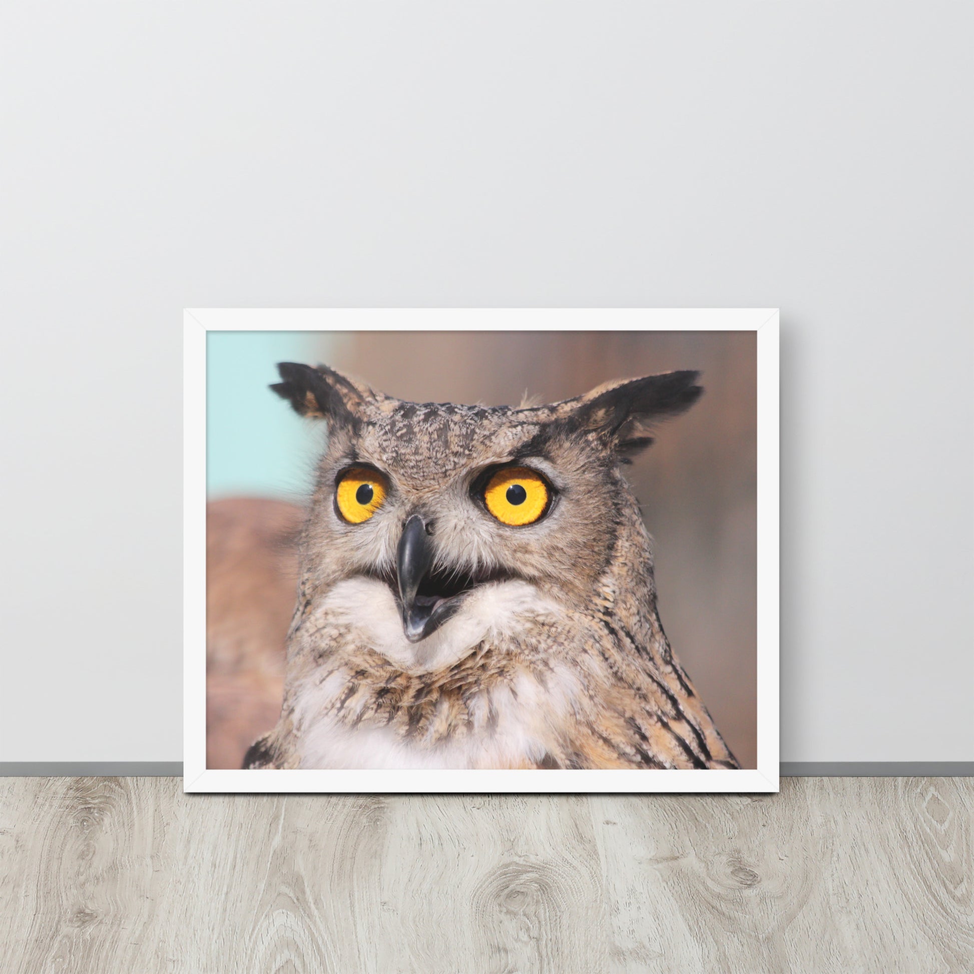 Owl -- High Quallity -- Framed on photo paper