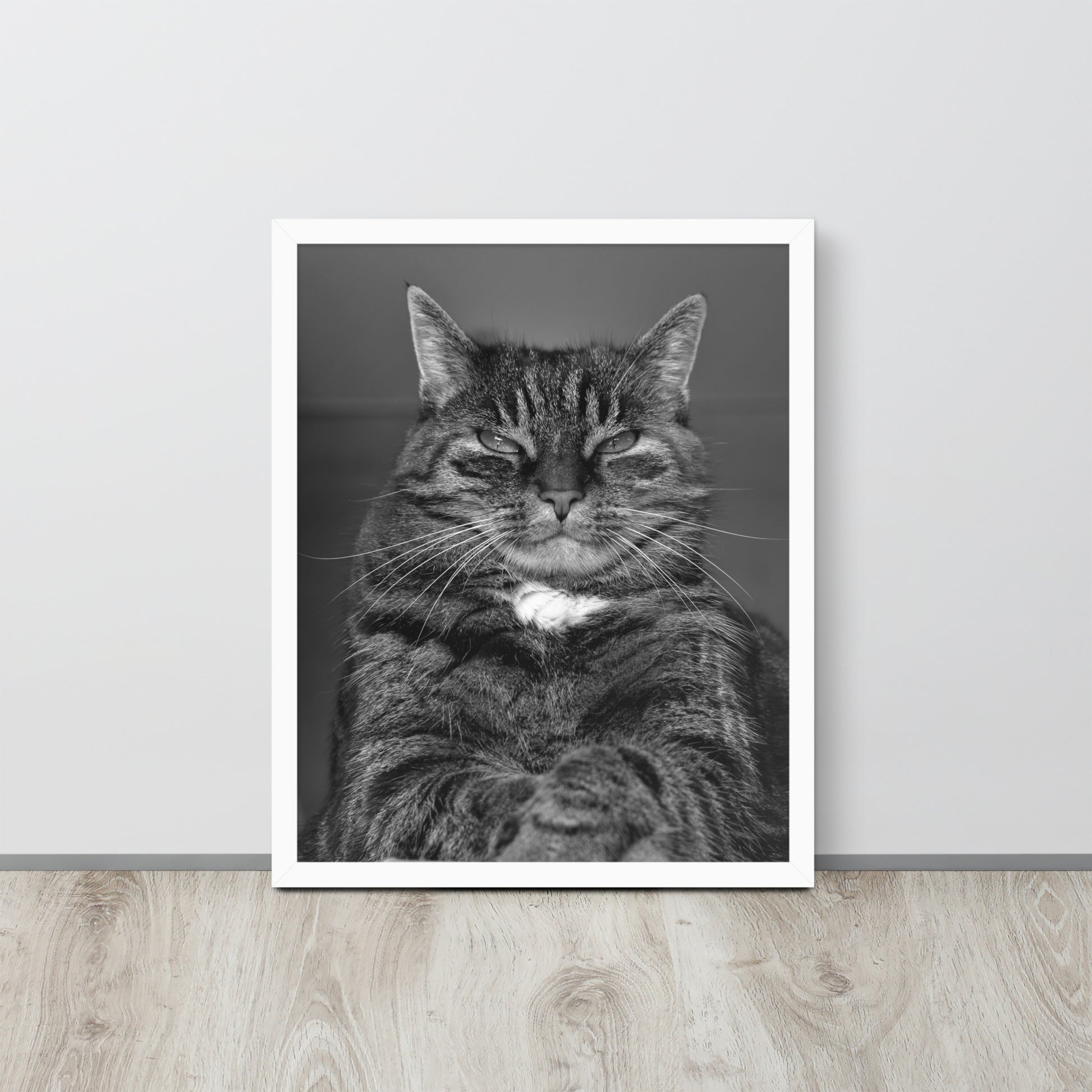 The Cat -- High Quality -- Framed on photo paper
