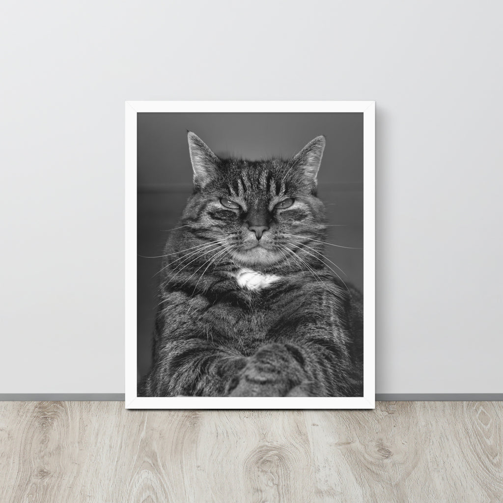 The Cat -- High Quality -- Framed on photo paper