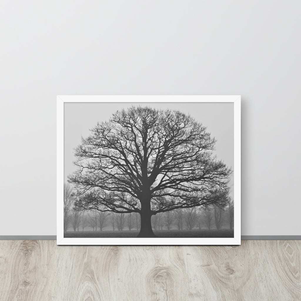 The Tree -- High Quality -- Framed on photo paper