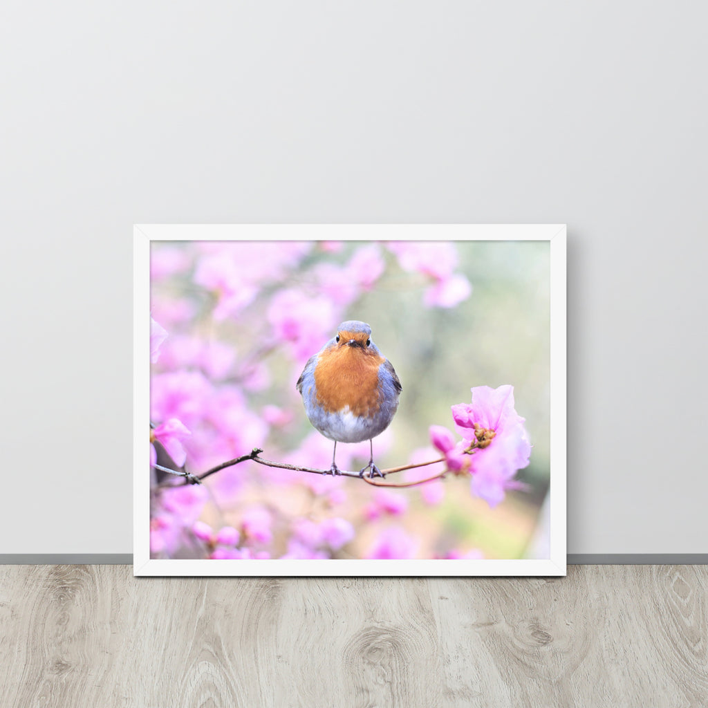 Birdie -- High Quality -- Framed on photo paper