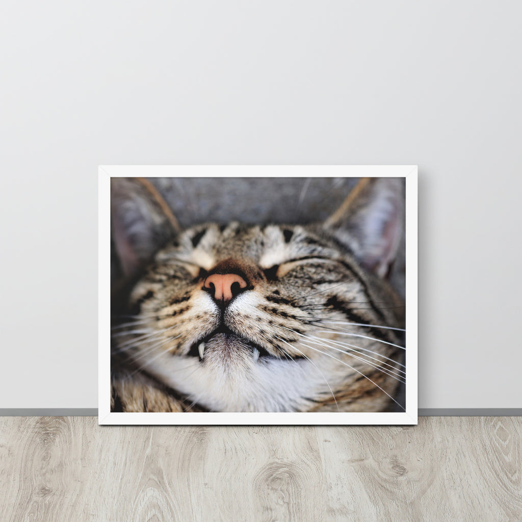 Sleeping Cat -- High Quality -- Framed on photo paper