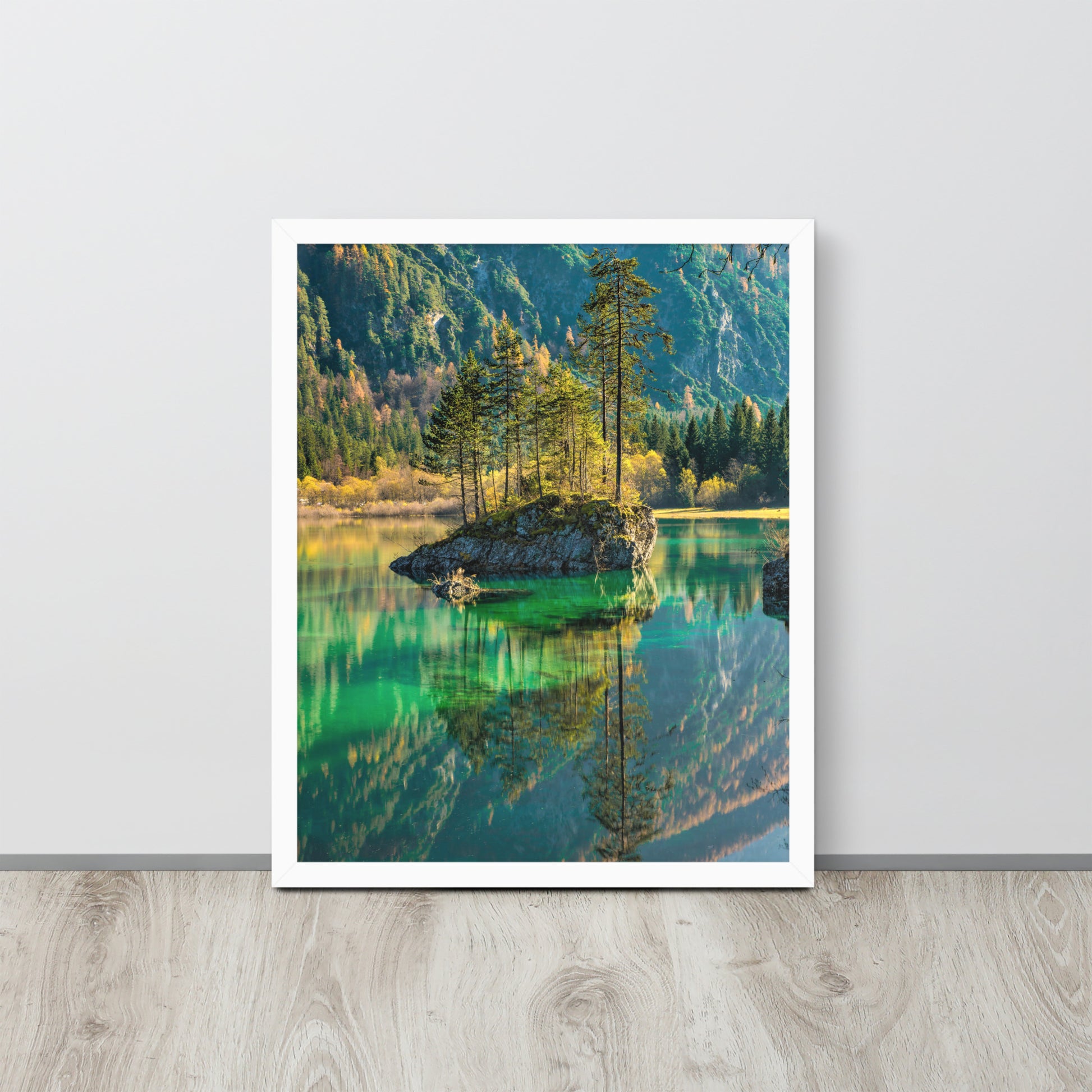 Nature -- High Quality -- Framed on photo paper